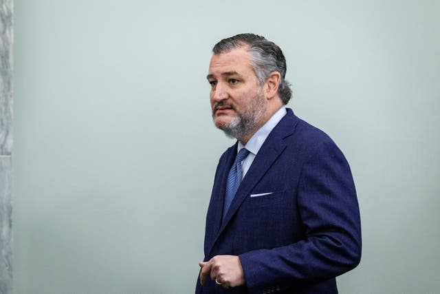 <p>Senator Ted Cruz of Texas is one of a handful of Republicans who fear rising costs from Trump’s tariffs</p>