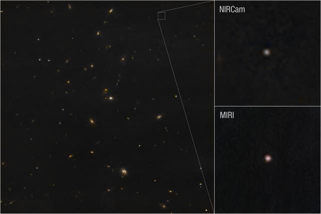 <p>James Webb Space Telescope captured these images of the asteroid 2024 YR4 using both its NIRCam (Near-Infrared Camera) and MIRI (Mid-Infrared Instrument)</p>
