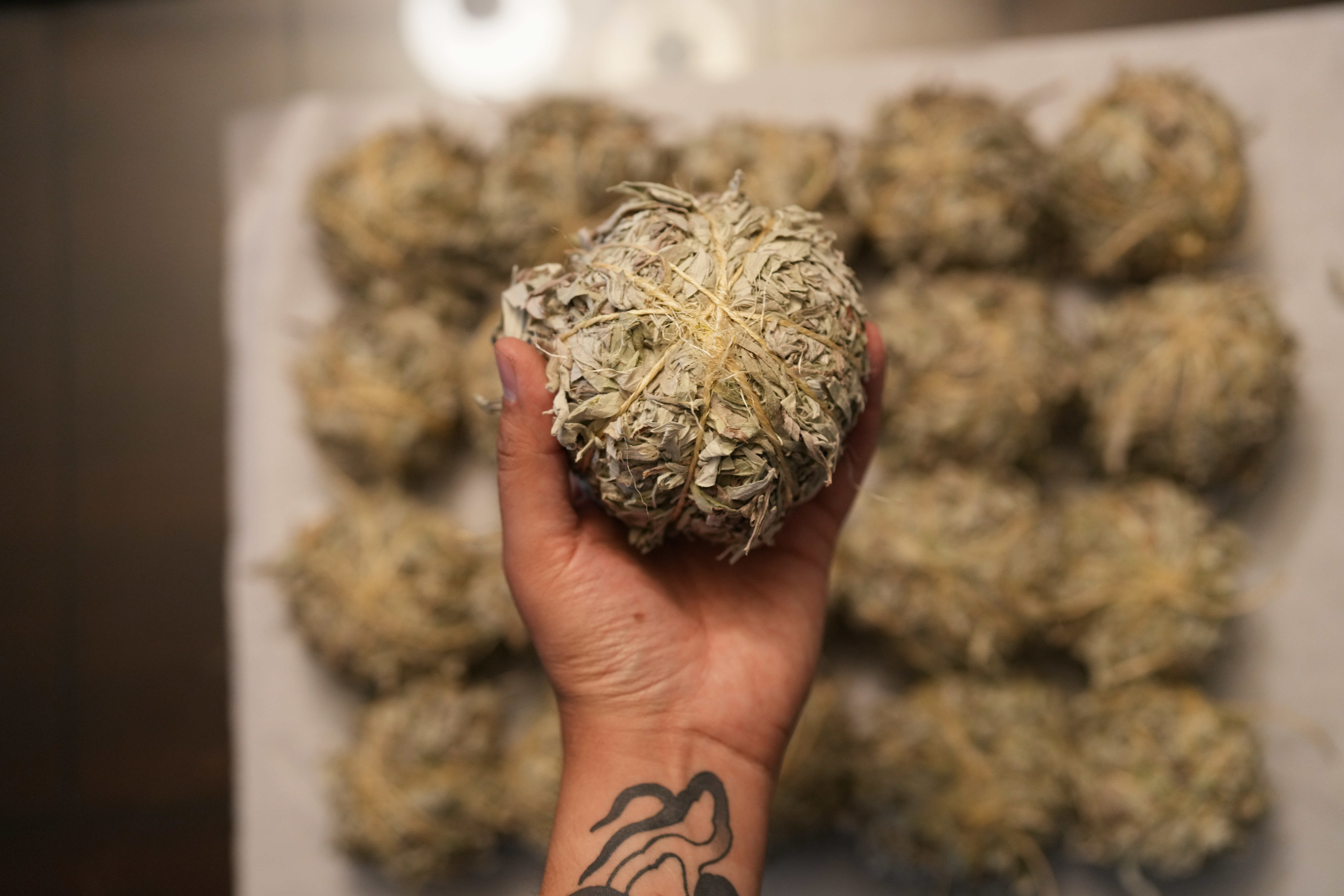 Indigenous Affairs Marty Two Bulls