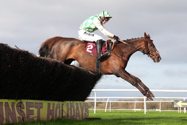 <p>Celebre D'Allen looks ‘brighter’ after remaining at Aintree overnight following the Grand National  </p>