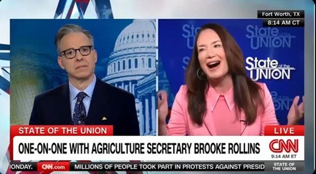 <p>Agriculture Secretary Brooke Rollins appears on CNN's State of the Union amid Donald Trump's growing trade war with a number of US allies.</p>