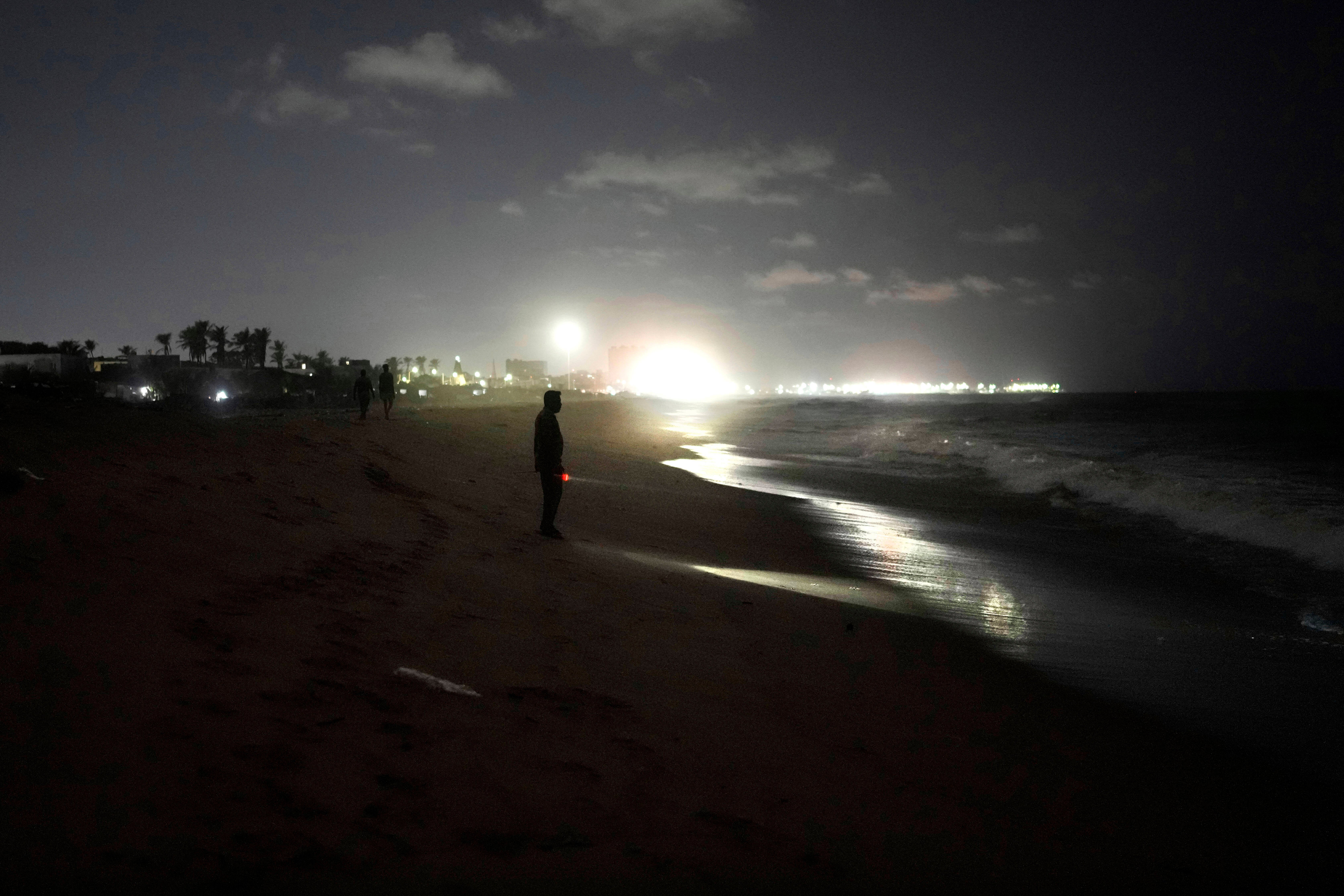 India Turtle Photo Gallery