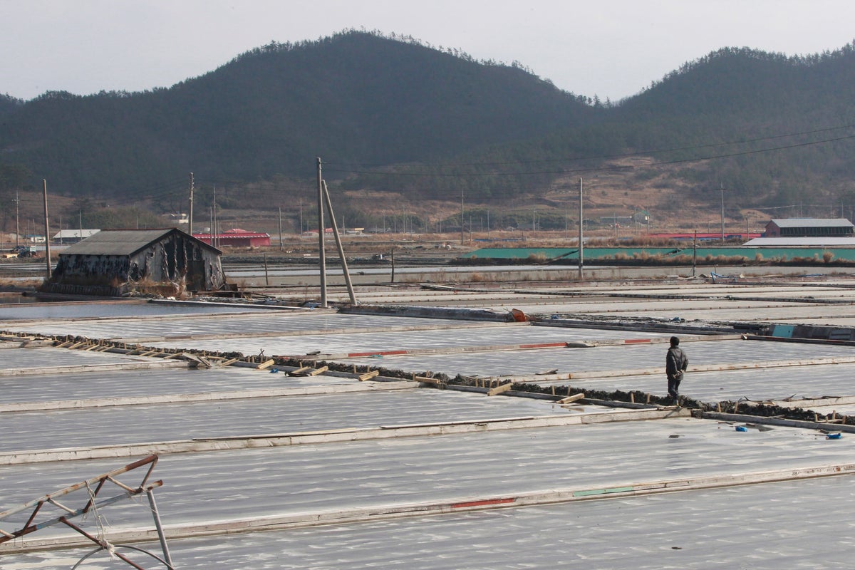 US blocks sea salt imports from South Korean salt farm over forced labor concerns