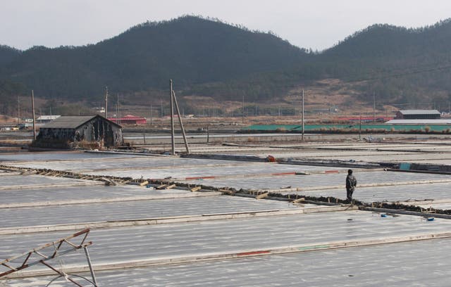 SURCOREA-GRANJA DE SAL-ESCLAVOS