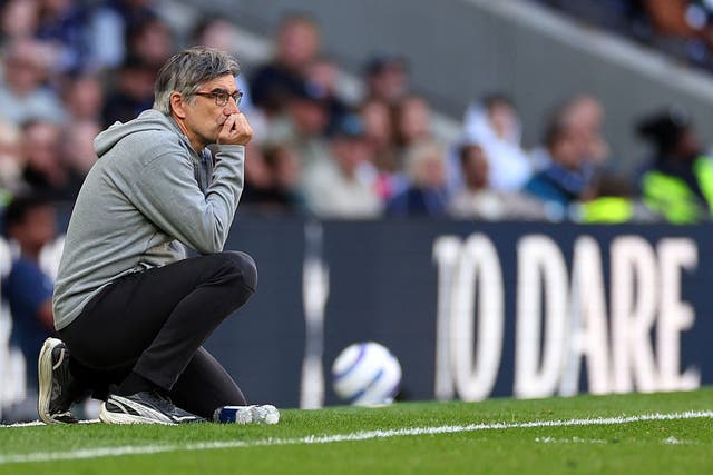 <p>Ivan Juric had the worst win percentage of any permanent Southampton manager</p>