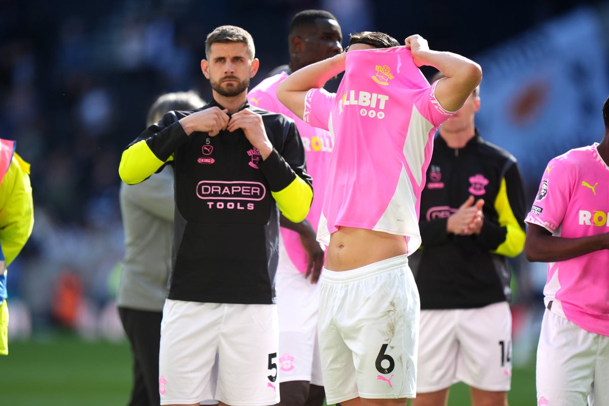 Southampton’s relegation is a disaster everyone foresaw but offers a stark warning Southampton’s relegation is a disaster everyone foresaw but offers a stark warning