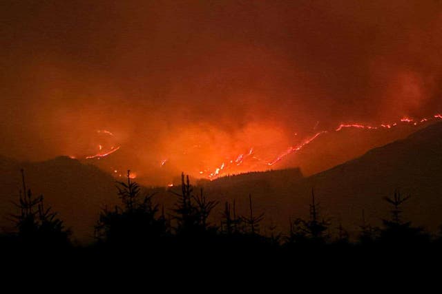 Firefighters have been tackling a wildfire in Galloway Forest Park (Galloway Mountain Rescue Team/PA)