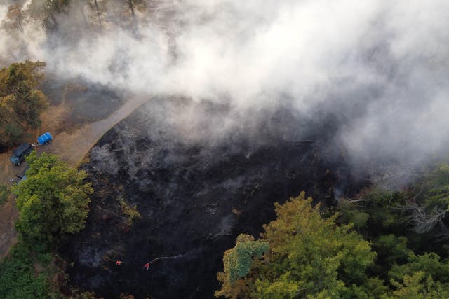 Police said emergency services are continuing to tackle wildfires in the Galloway Forest Park area (Jacob King/PA)