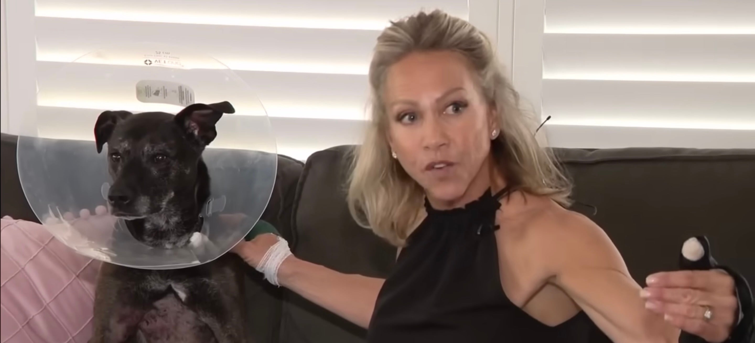 <p>Kim Spencer and her pup Kona. Spencer rescued her animal from the jaws of an alligator last week as the two were on a walk in Florida</p>