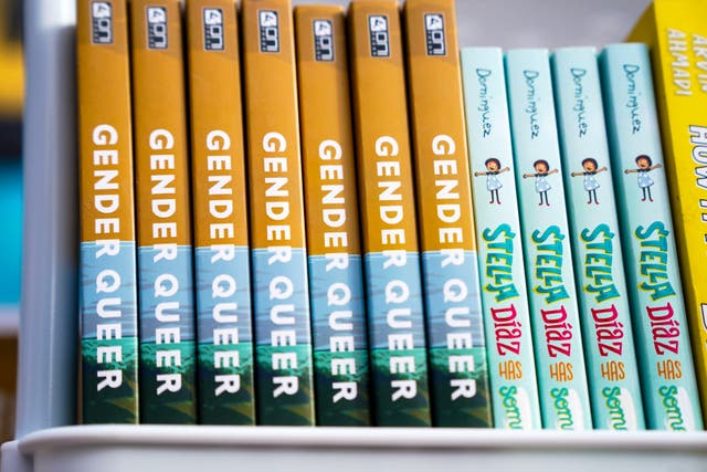<p>'Gender Queer' by Maia Kobabe (pictured) was among one of the most challenged books of 2024, according to a new report </p>