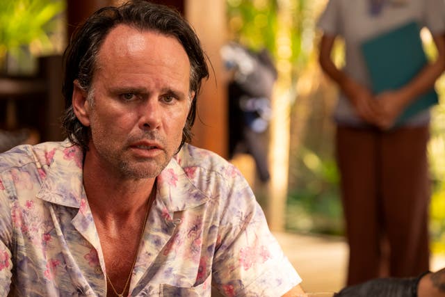 <p>Walton Goggins in ‘The White Lotus’</p>