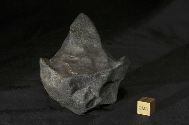 <p>This 146 gram stone is on loan to the Buseck Center for Meteorite Studies from Michael Farmer</p>