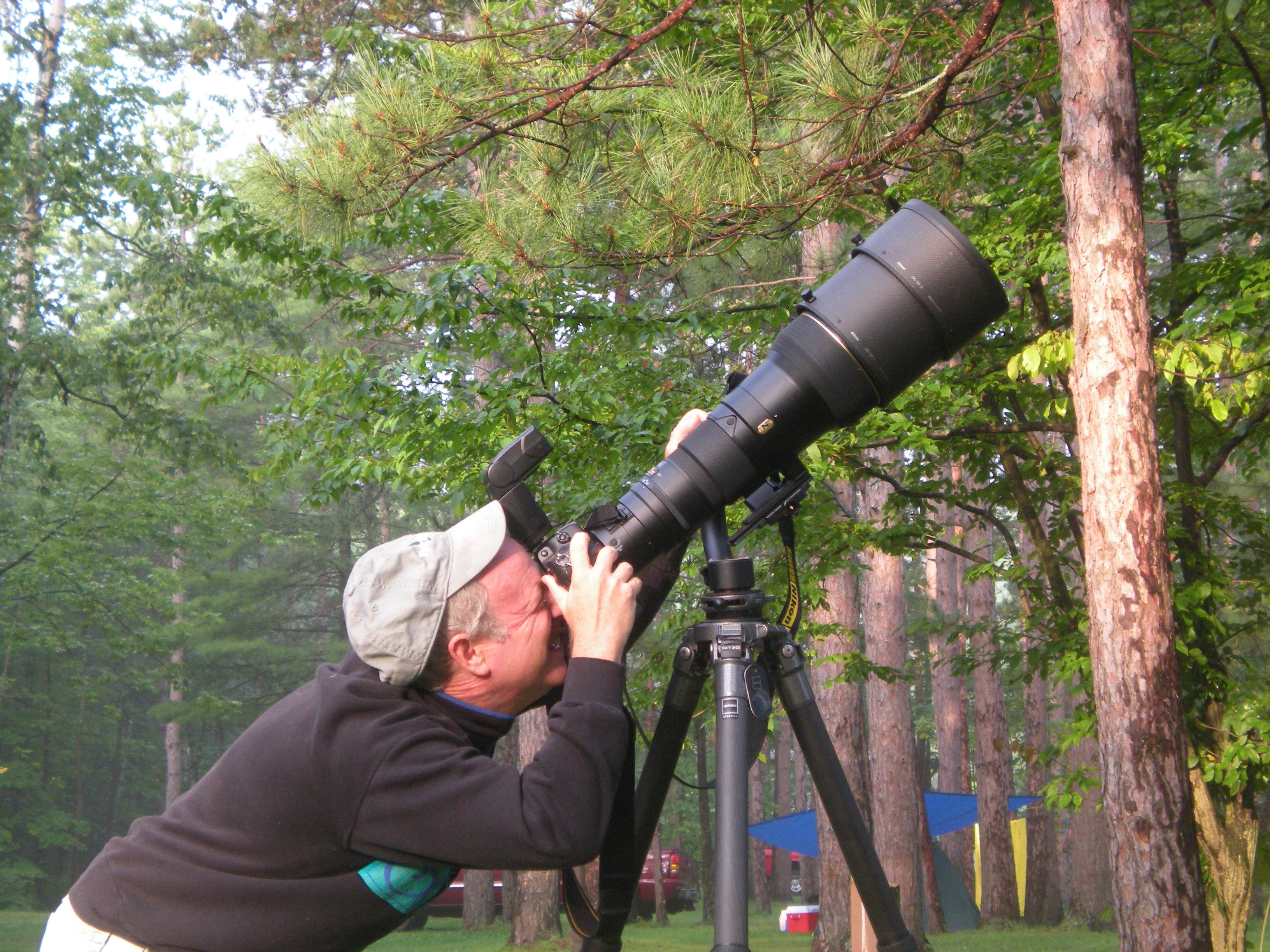 Gardening-Tallamy-Native Plants-Q&A