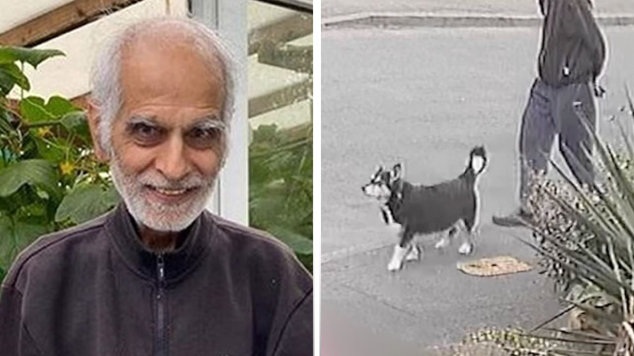 <p>Bhim Kohli: CCTV shows elderly dog walker before fatal attack by teenagers</p>