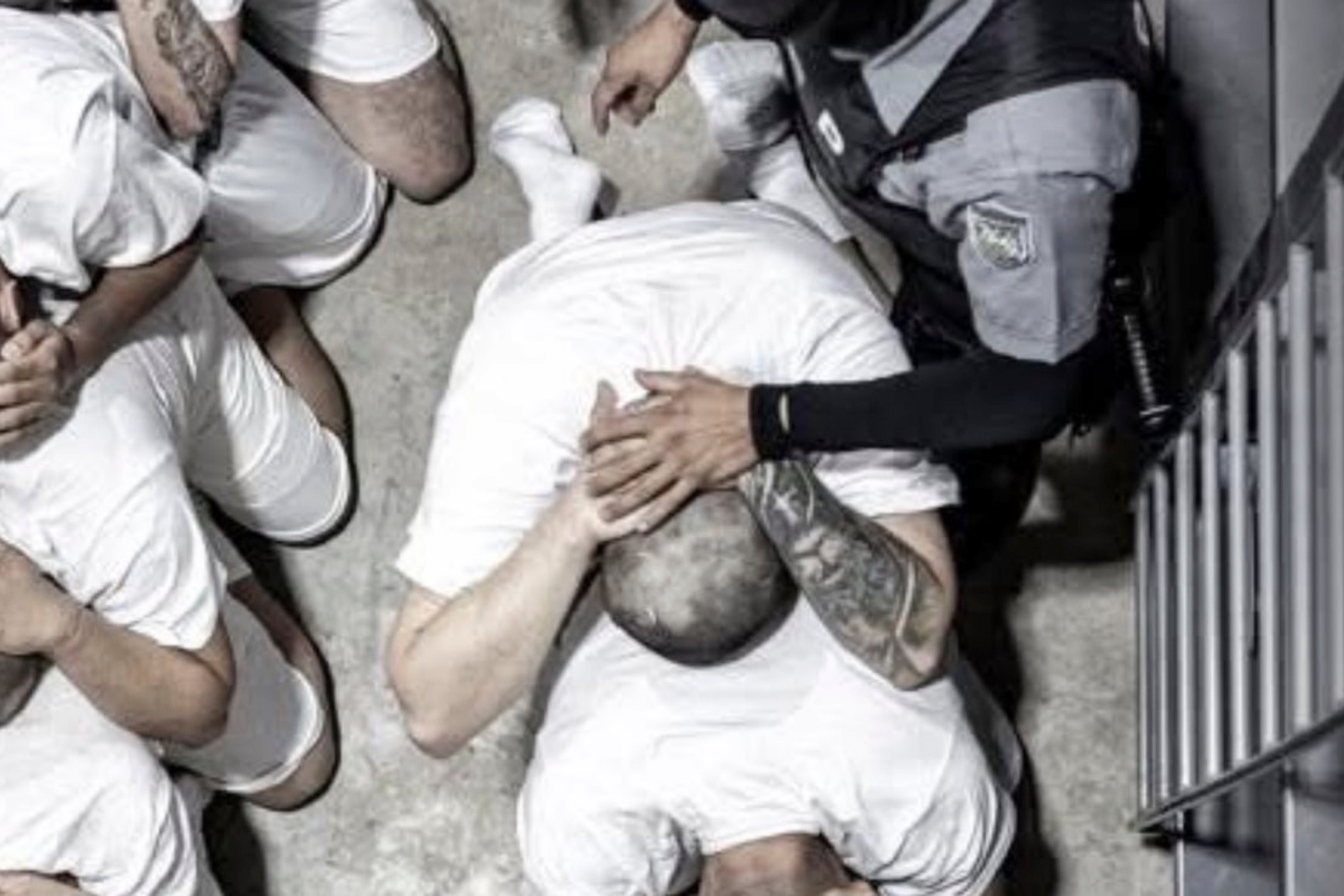 Maryland Deportation Error