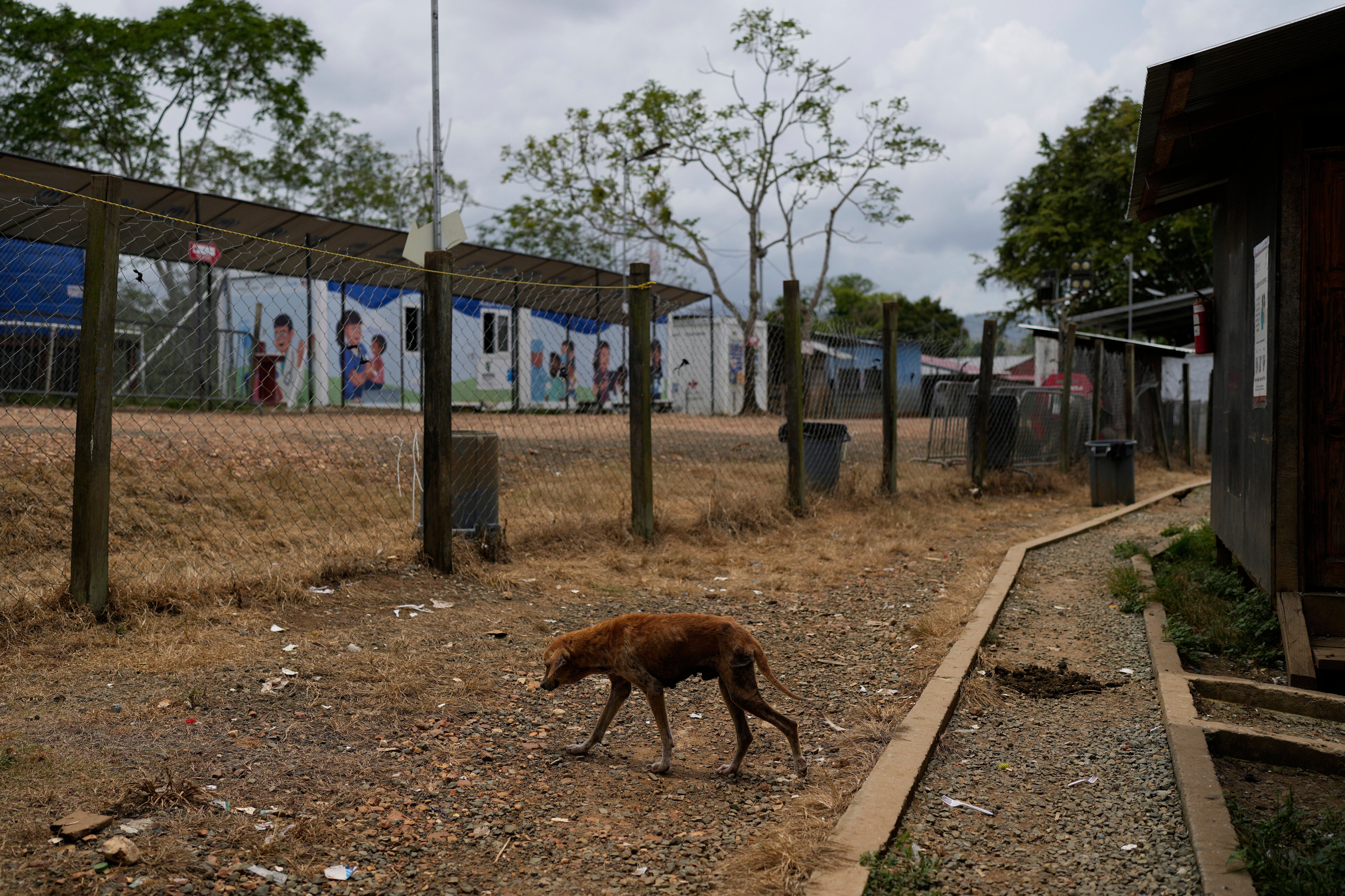 PANAMÁ-TAPÓN DEL DARIÉN-MIGRACIÓN