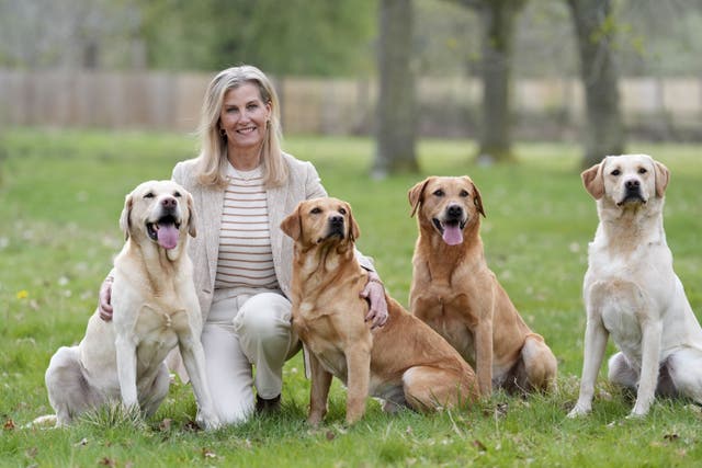 The Duchess of Edinburgh during a visit to the Yellow Labrador Club at Windsor Great Park (Andrew Matthews/PA Wire)