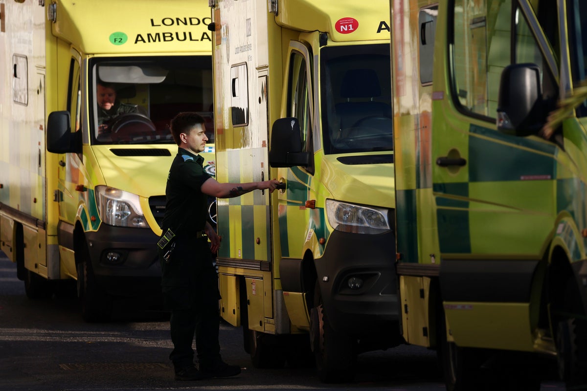 ‘Only call if life-threatening’: London ambulance plea after heatwave sparks busiest day since pandemic ‘Only call if life-threatening’: London ambulance plea after heatwave sparks busiest day since pandemic