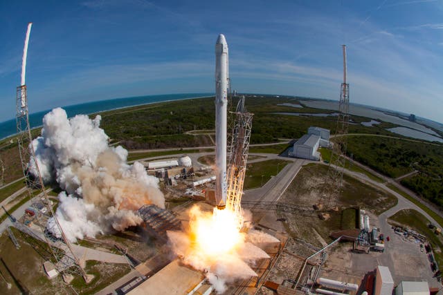 <p>SpaceX Dragon</p>