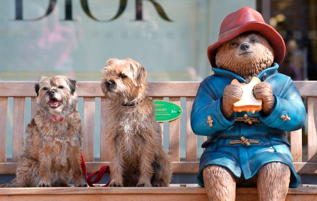 <p>Border terriers Rosie and Brodie sit next to a Paddington Bear statue in Newbury</p>