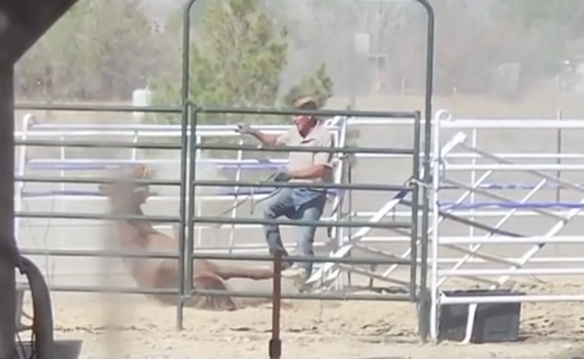 <p>Veterinarian Shawn Frehner (pictured) has gone missing outside of Las Vegas after a resident shared a viral video that shows him kicking a horse. He's now being investigated for felony animal abuse, police say</p>