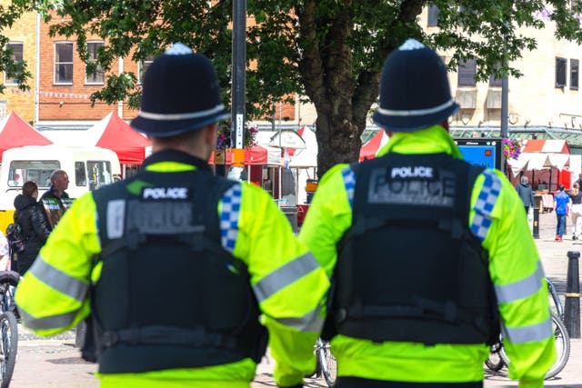 <p>The government wants to put named local officers into each neighbourhood</p>