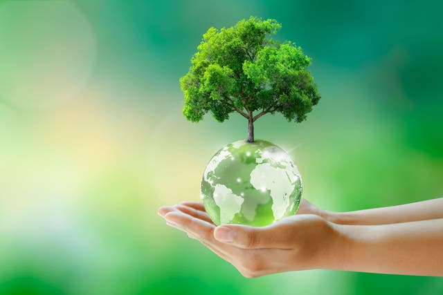 Go green with these eco-friendly solutions for your home (Alamy/PA)