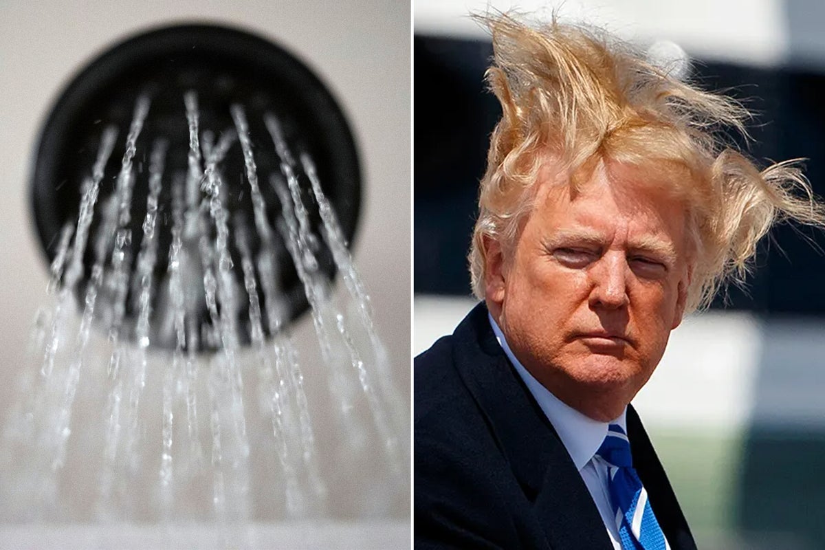 Trump Drip Trump plans to fix showerheads and dishwashers so everything gets more ...