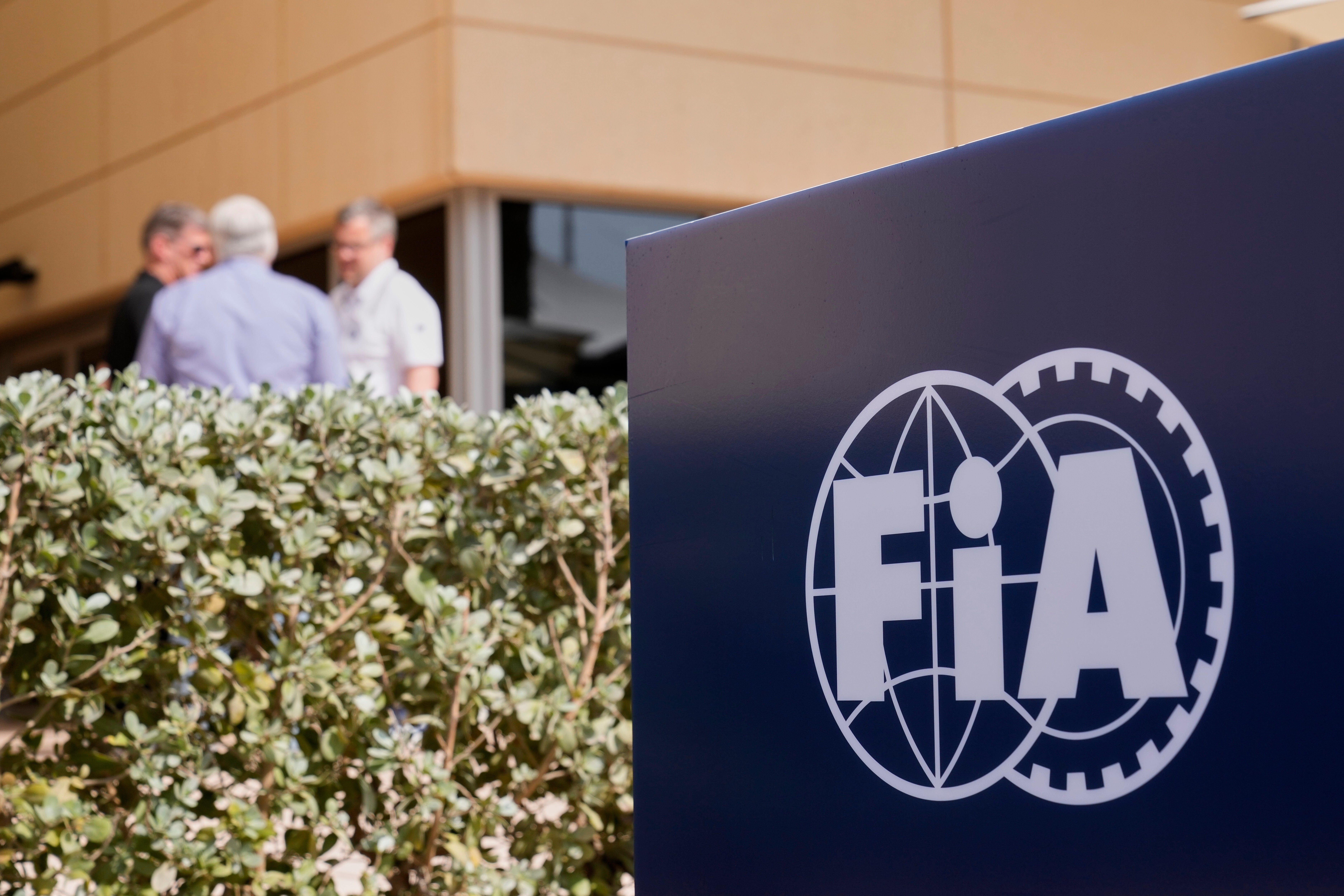 A spokesman for Formula 1’s governing body, whose world championships also include rallying and Formula E, said a "resounding majority" voted in favour at the General Assembly meeting in Macau.