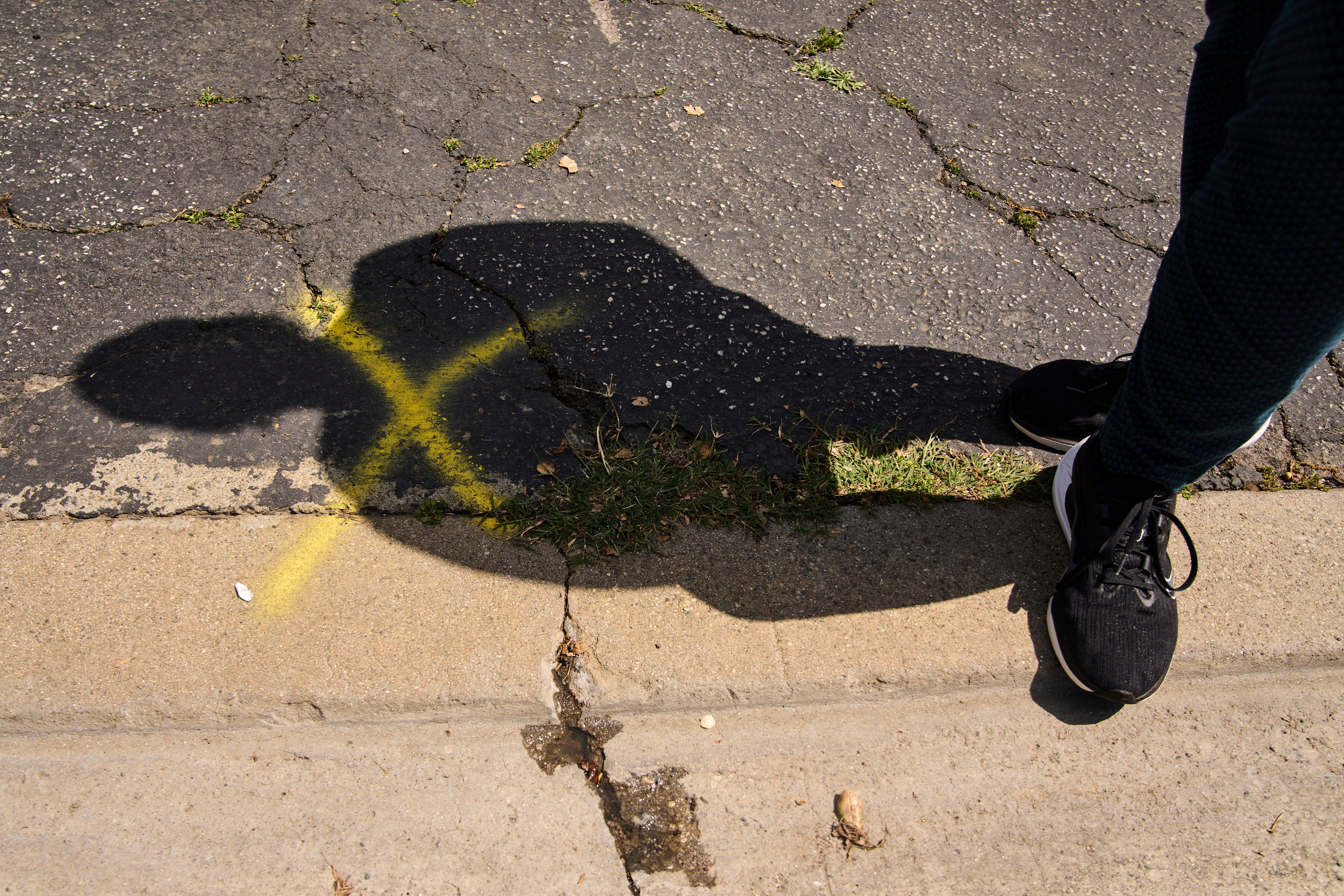 Wildfires Smoke Damage