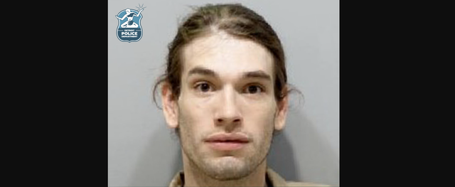 <p>Jordan Love, 29, of Detroit, was arrested nearly 700 miles from her home in connection with the non-fatal stabbing
of her dog</p>