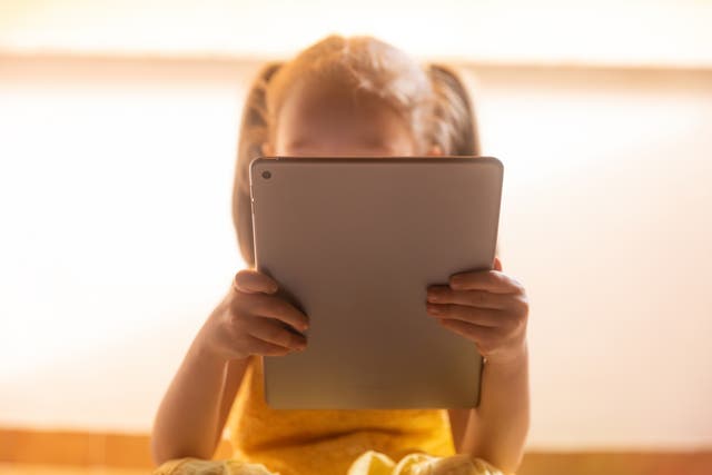 <p>A history teacher has said she was arrested and barred from seeing her own daughters after she confiscated their iPads.</p>