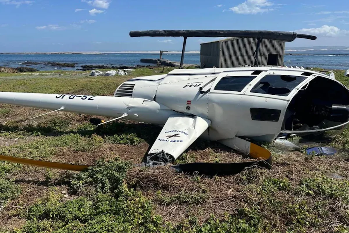 Penguin in passenger seat causes helicopter crash in South Africa Penguin in passenger seat causes helicopter crash in South Africa