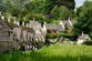 ‘Nightmare’ in pretty English village overrun by tourists with resident injured in parking bust-up over Range Rover