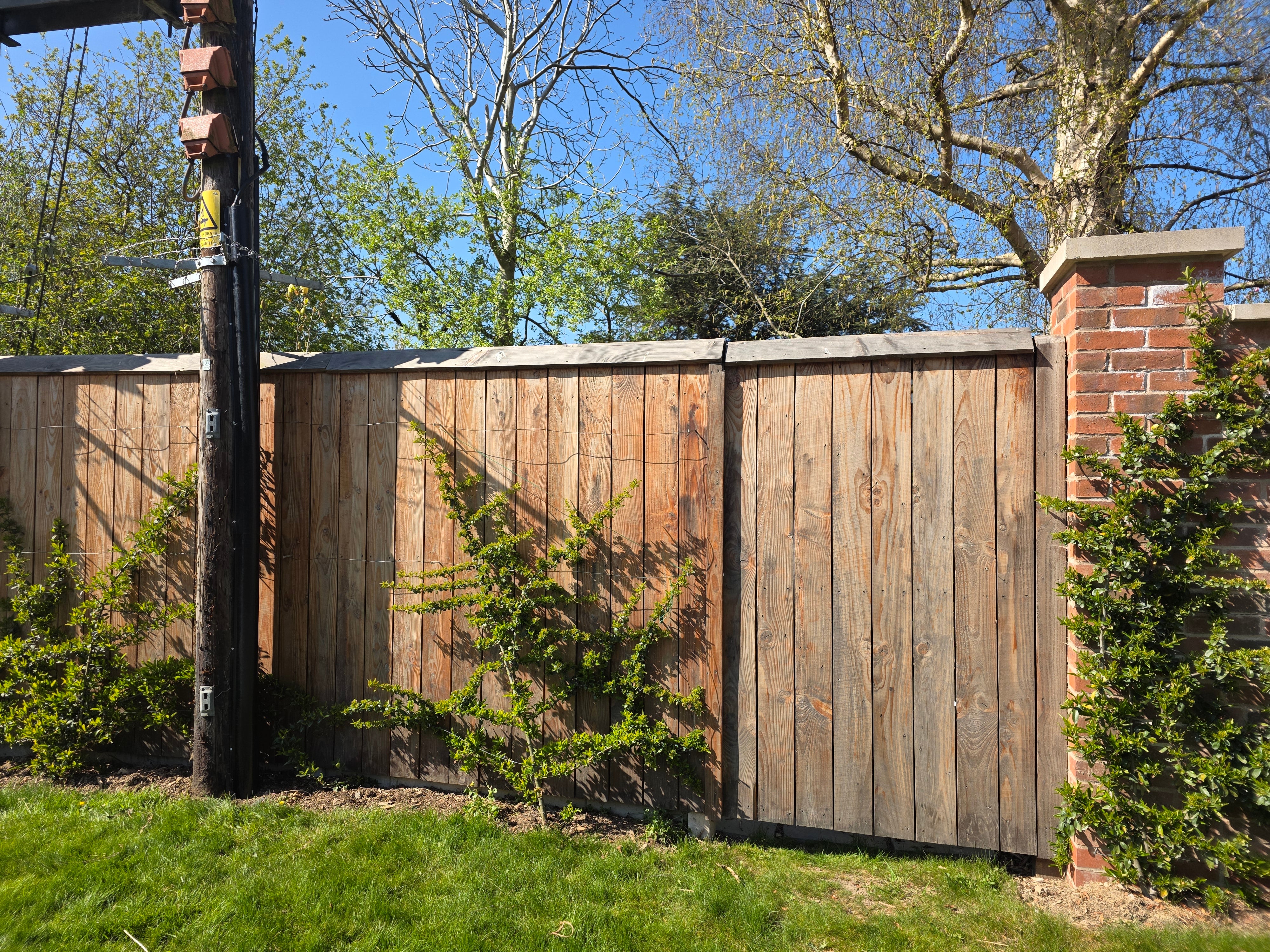 <p>‘An electrical contractor opened a six-foot roadside gate without my knowing and the dogs ran out’</p>