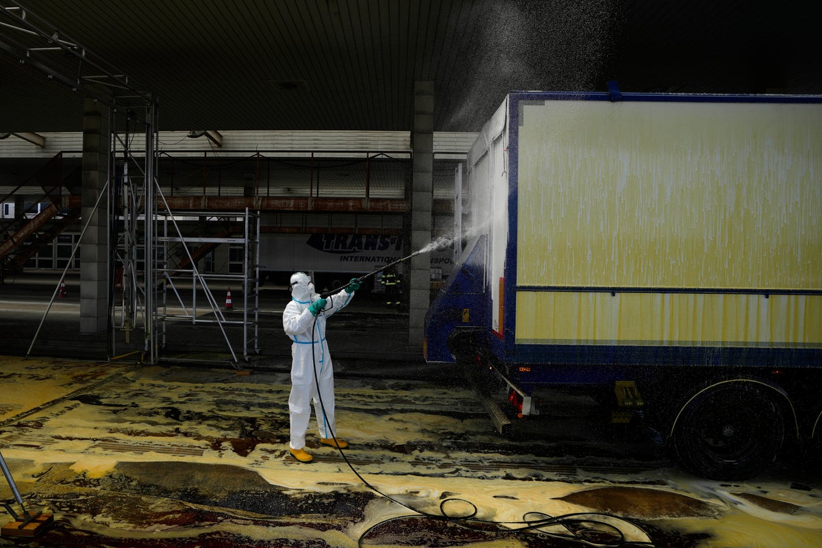Foot-and-mouth disease outbreak in Central Europe leads to animal culls and border closures