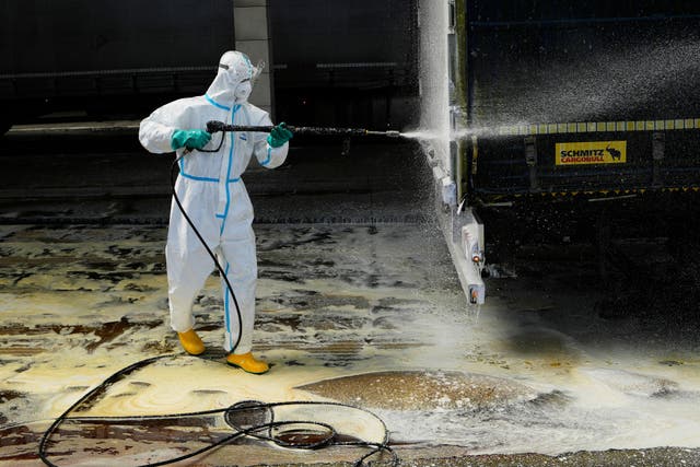 <p>A firefighter sprays a truck with disinfectant to try to prevent the spread of a the highly infectious foot-and-mouth disease from Slovakia at the border in Lanzhot, Czech Republic, Friday, April 11, 2025. (AP Photo/Petr David Josek)</p>