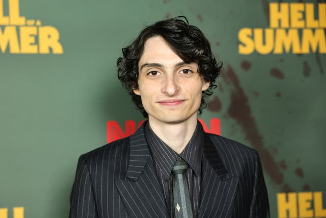 <p>Finn Wolfhard</p>