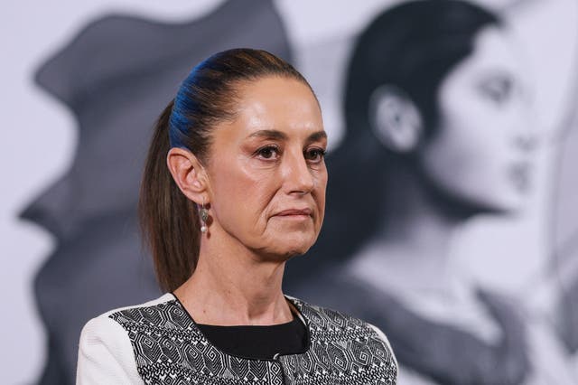 <p>Mexico's President Claudia Sheinbaum </p>