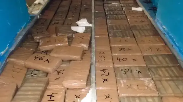 <p>The haul of cocaine was hidden beneath foie gras</p>