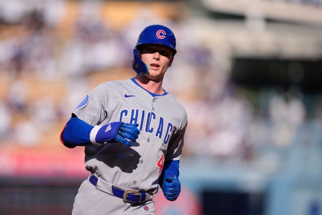 CACHORROS DODGERS