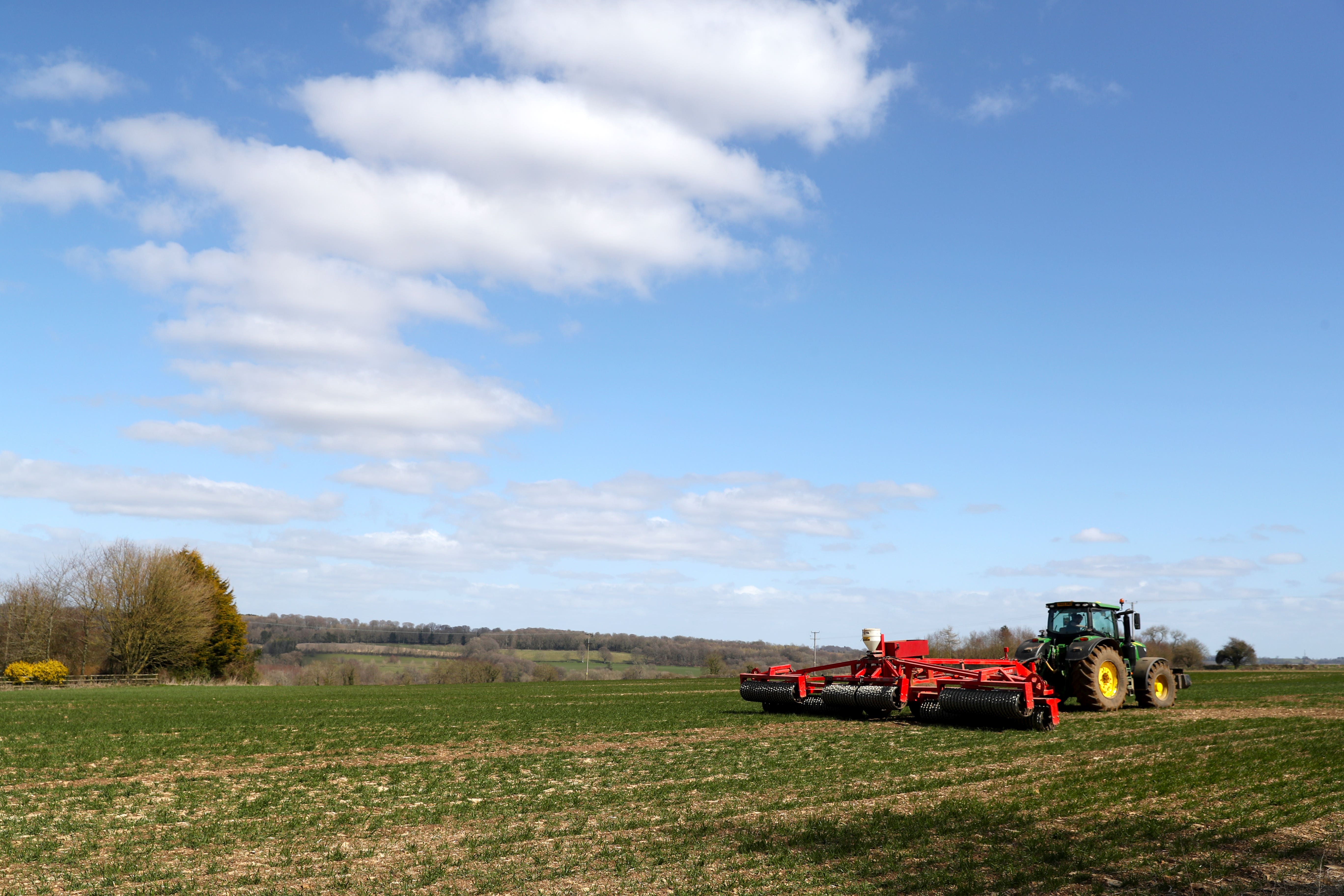 The Environment Department announced in March the immediate closure of the sustainable farming incentive (David Davies/PA)