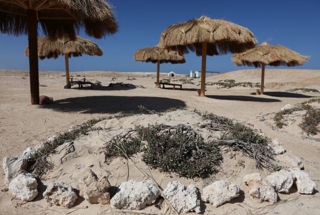 <p>Umbrellas at Ras Hankorab beach, home to one of the country's last untouched marine ecosystems</p>