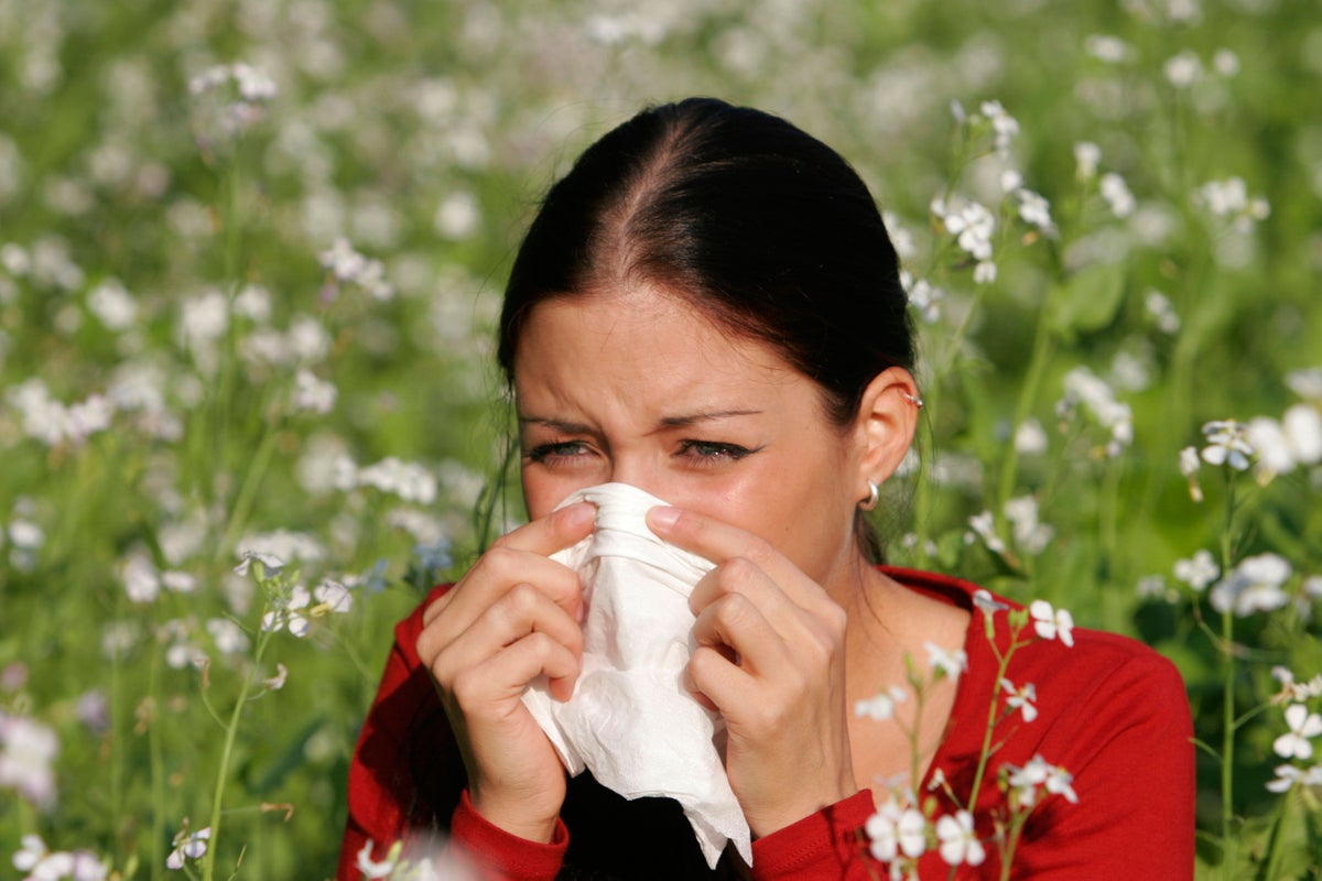 Hay fever warning: Find out which regions will be worst hit as pollen count hits ‘very high’