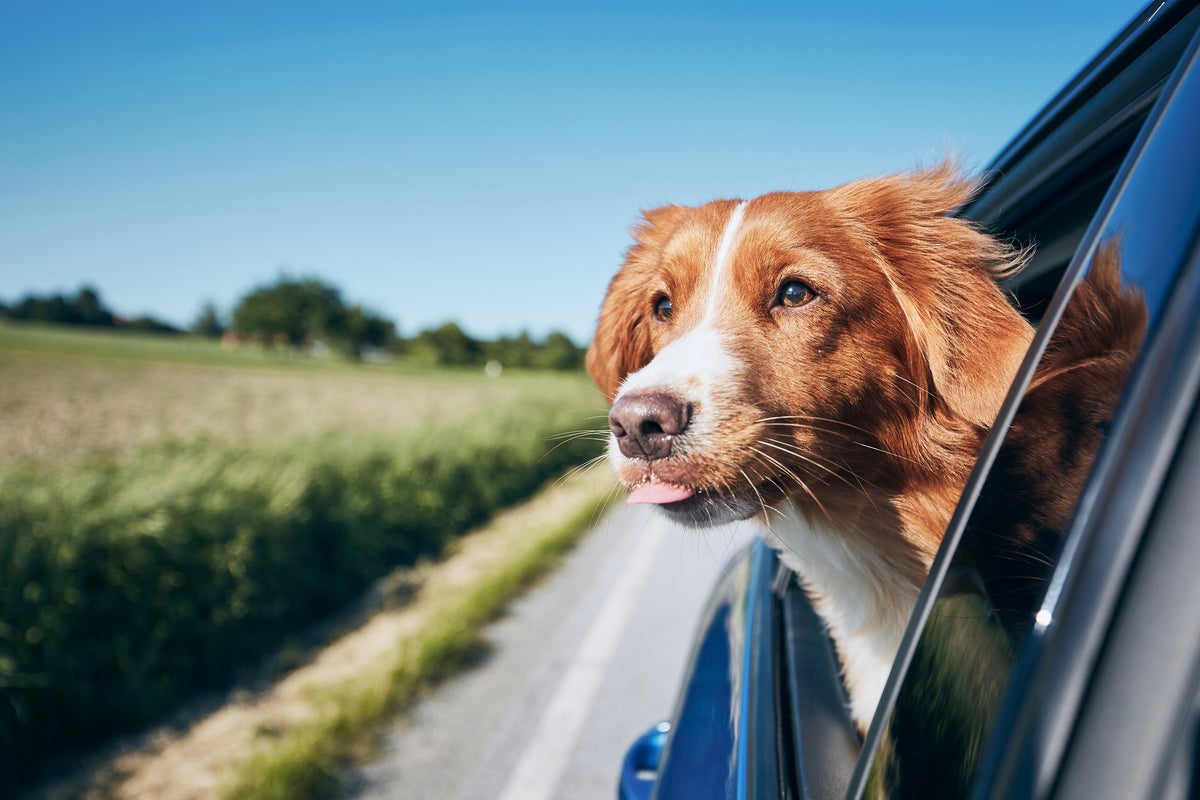 Five lesser-known road rules that could land drivers a hefty fine this Easter