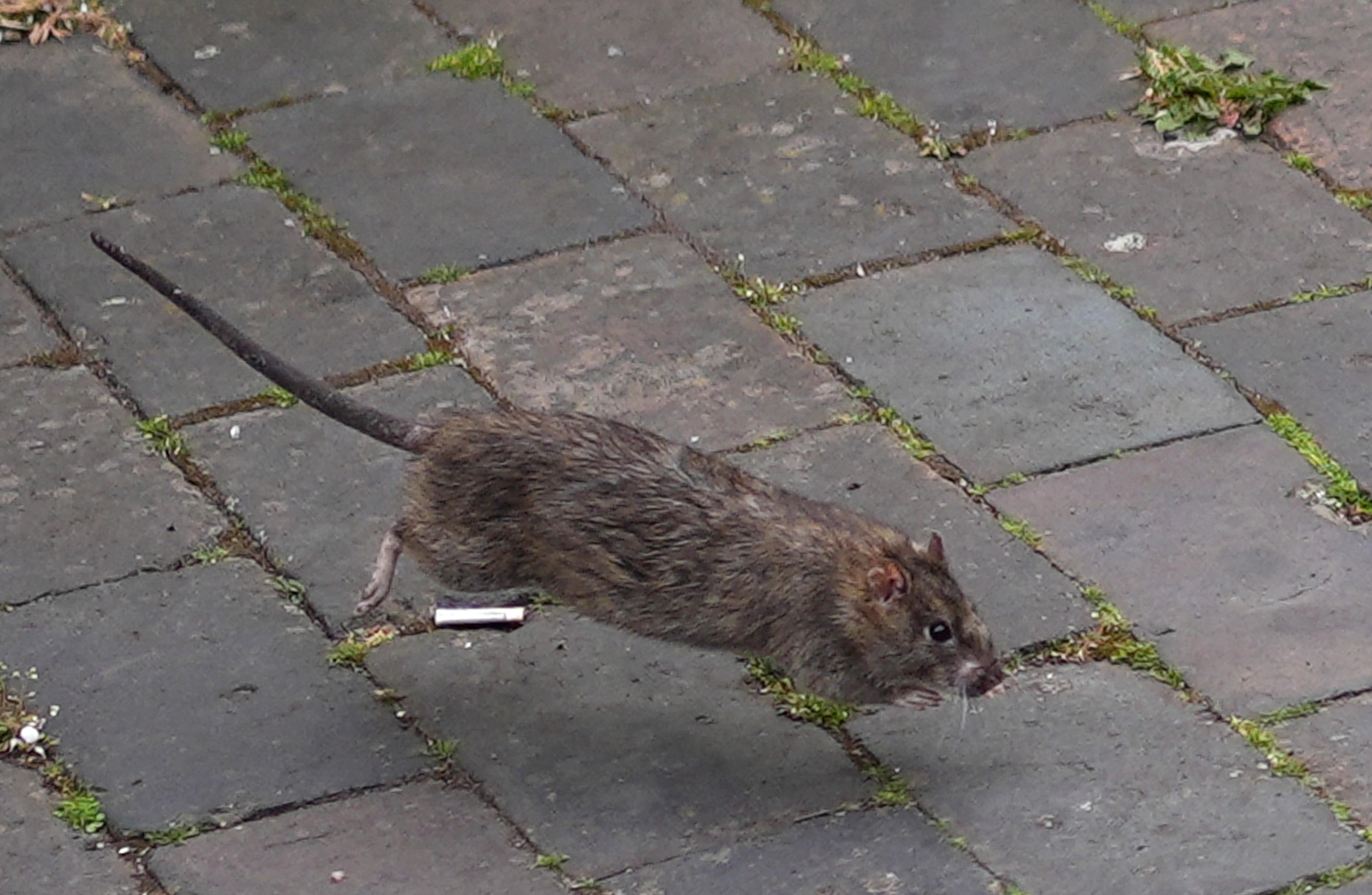 Uflashbrazil leaked the moment she walked in, we both felt