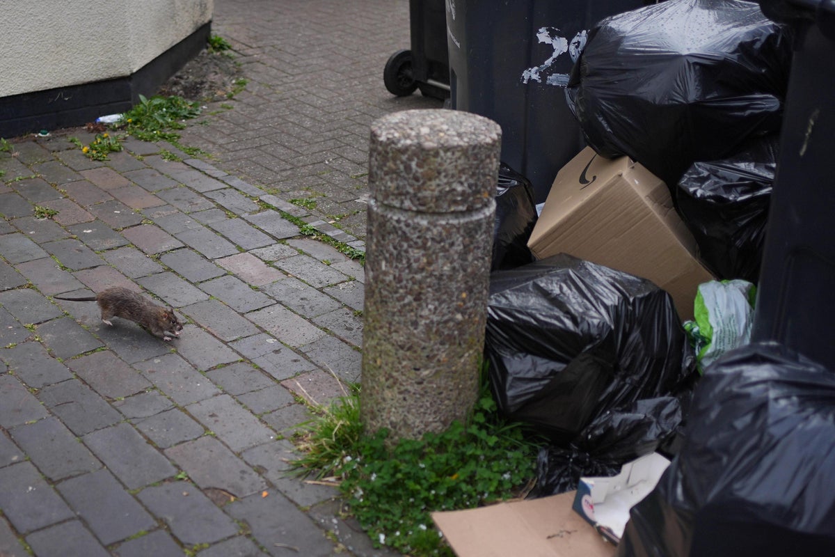 Birmingham bin boss urges striking workers to reconsider ‘very fair’ offer