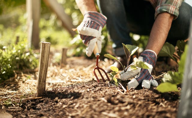 <p>You don’t have to buy everything for your garden new - why not try second-hand?</p>