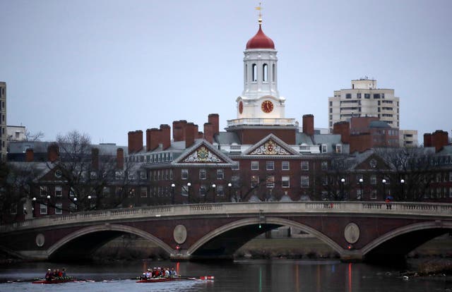 TRUMP HARVARD