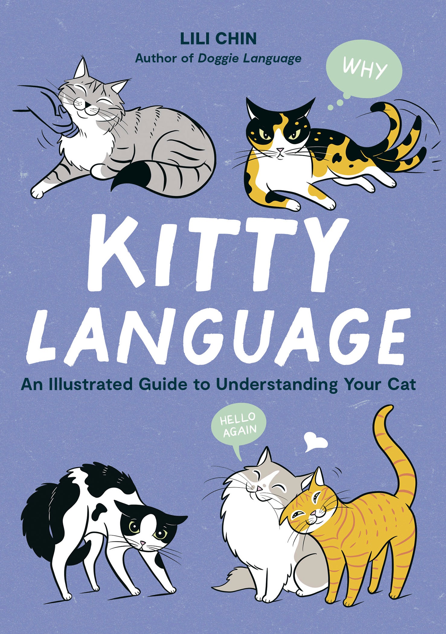 Pets-Pet Illustrator